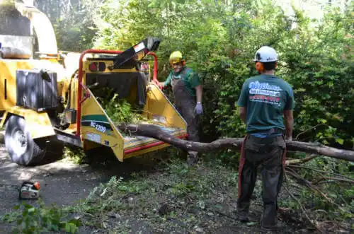 tree services Susanville